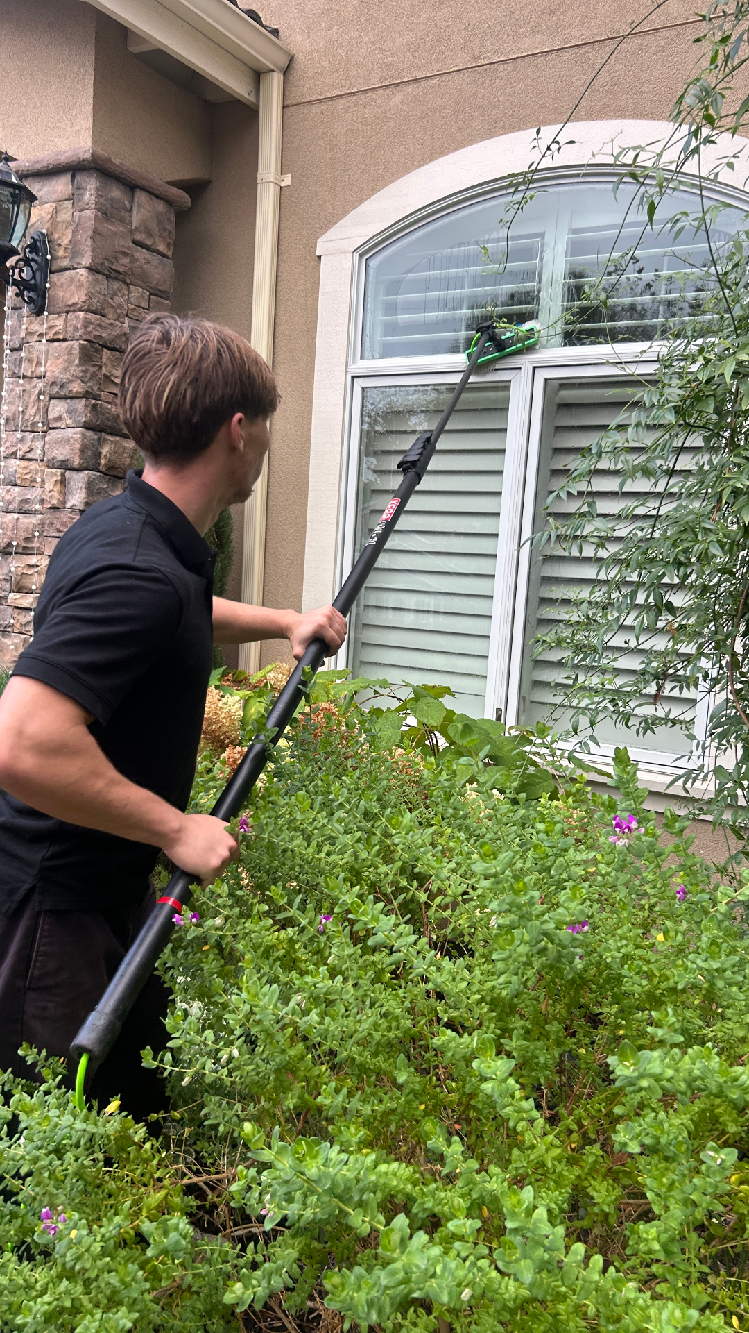 Window Cleaning